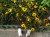 DSC00022.JPG