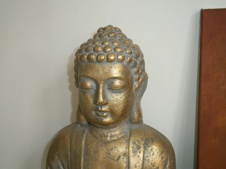 14415.jpg
