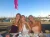 1000104363.webp