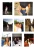 25679.webp