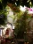 22921.webp