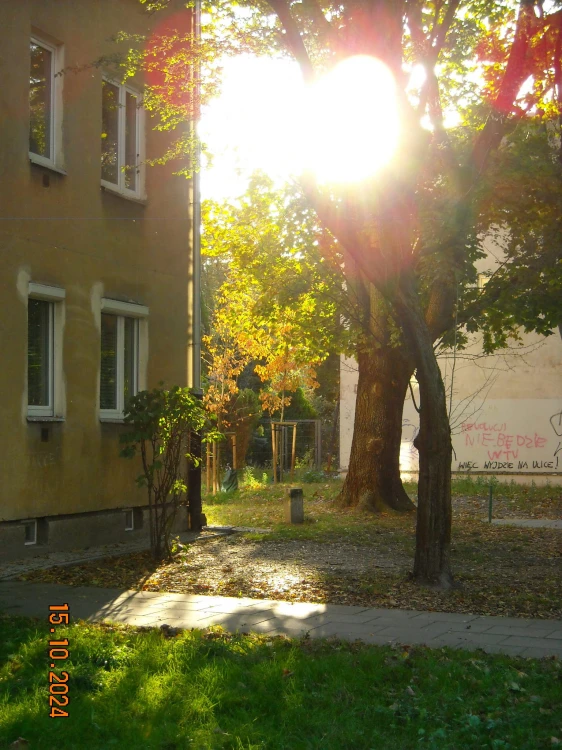 1000093807.jpg