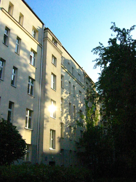 32538.jpg