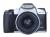 35401.webp