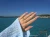 38871.webp