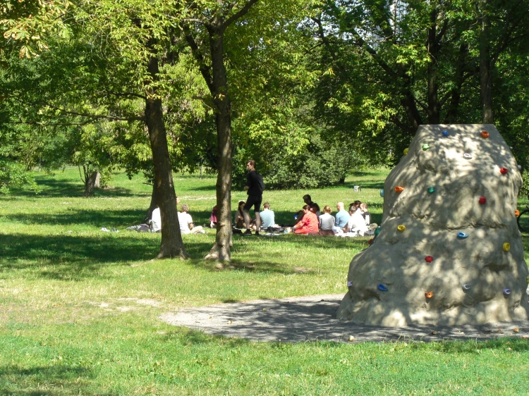 CIMG6303.JPG