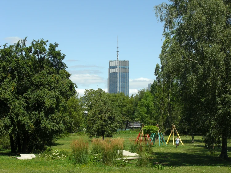 CIMG6305.JPG