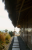 29036.png
