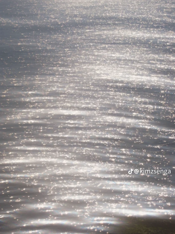 45161.webp
