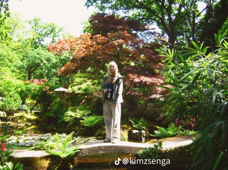45159.webp