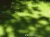45160.webp