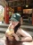 45179.webp