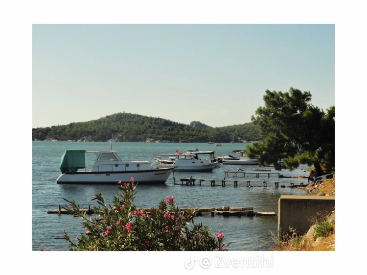 45175.webp