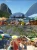 43434.webp