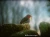 48694.webp