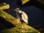 48693.webp