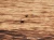 48692.webp