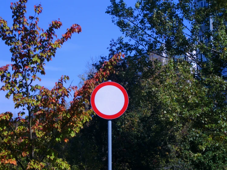 48745.jpg