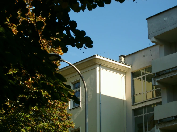 48742.jpg